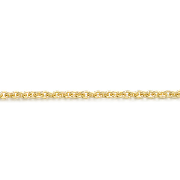 9ct Gold Belcher Chain-Rolo40